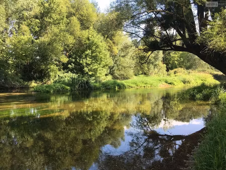 vente terrain 7728 m² à buzançais (36500)  13 800 €