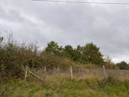 vente terrain à batir 1435 m² à paulnay (36290)  13 800 €