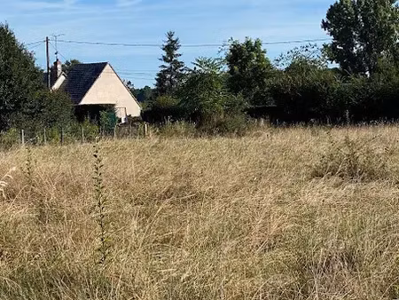 vente terrain à batir 3139 m² à sainte-gemme (36500)  33 000 €