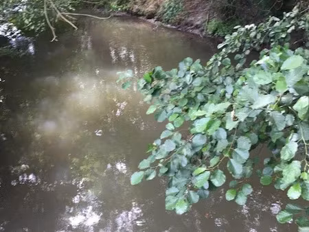 vente terrain 18480 m² à villeloin-coulangé (37460)  11 200 €