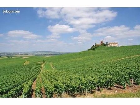 recherche terrain constructible