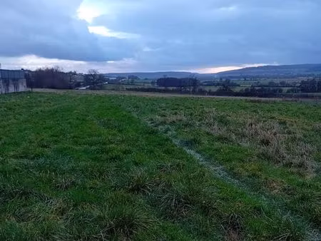 terrain à bâtir mairy ( douzy)