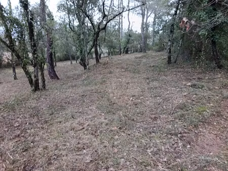 terrain d'exception 14 160 m2 a neoules !
