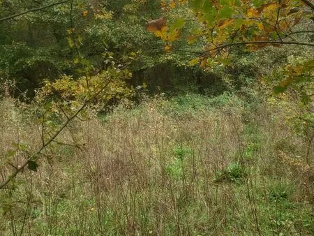 bois privé à louer