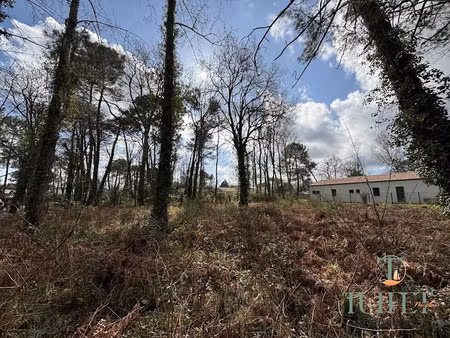 vente terrain à batir 1271 m² à la tremblade (17390)  159 500 €