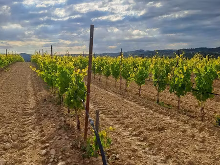 vente terrain 250 m² à pertuis (84120)  154 000 €