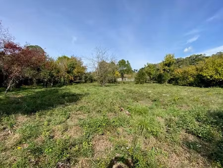 vente terrain 600 m² à carnoules (83660)  157 000 €