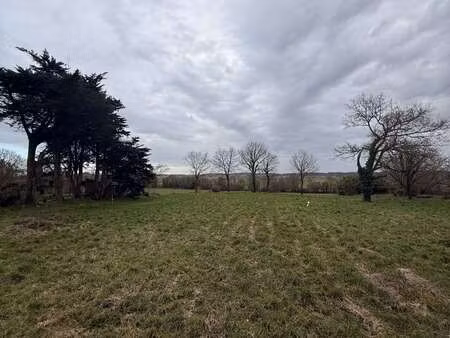 vente terrain à allaire (56350) : à vendre / 1320m² allaire