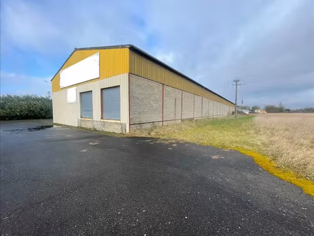 vente locaux professionnels 3000 m² à la charité-sur-loire (58400)  269 000 €