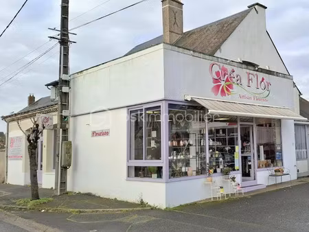 vente locaux professionnels à monnaie (37380)  50 000 €