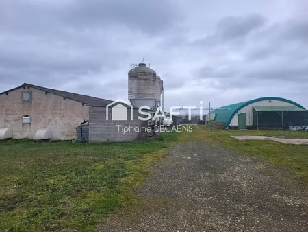 vente locaux professionnels 3 pièces 17991 m² à loudun (86200)  56 000 €