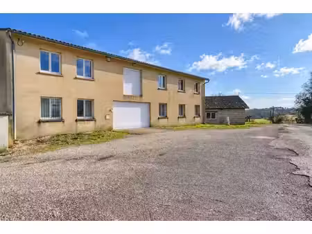 vente locaux professionnels 0 pièces 600 m² à maransin (33230)  229 900 €