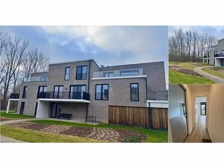 appartement à louer à heistse bossen 4 heist-op-den-berg (rbv45633)