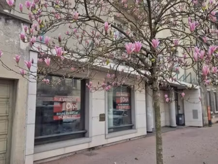 vente locaux professionnels 310 m² à bourg-en-bresse (01000)  215 000 €