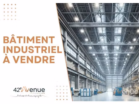 vente locaux professionnels 300 m² à l'etrat (42580)  742 000 €