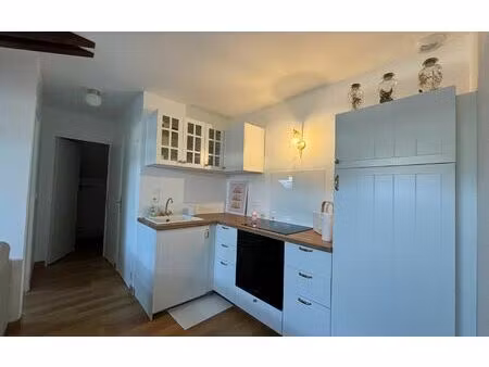 location appartement  33.47 m² t-2 à ay  490 €