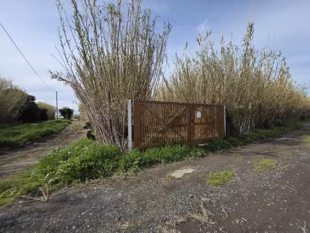 terrain agricole 5006m2 - villelongue-de-la-salanque - accès