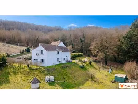 grande maison rénovée spacieuse et lumineuse