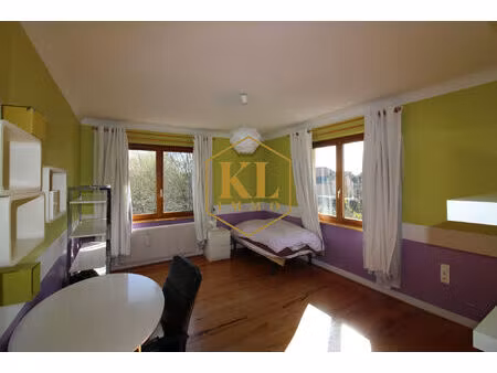 vente maison 7 pièces 171 m² colmar (68000)