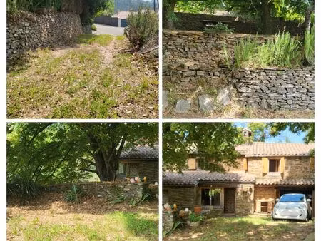 rare ancienne clède à sénéchas sur 20000m