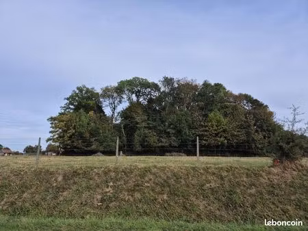 terrain 1405 m² routot