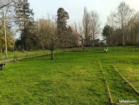 terrain constructible