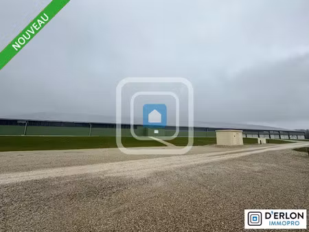 location locaux professionnels 0 pièces 4500 m² à chalons-en-champagne (51000)  7 500 €