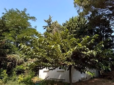 mazet sur terrain de loisir