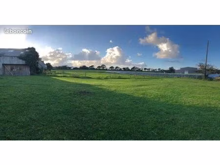 terrain constructible