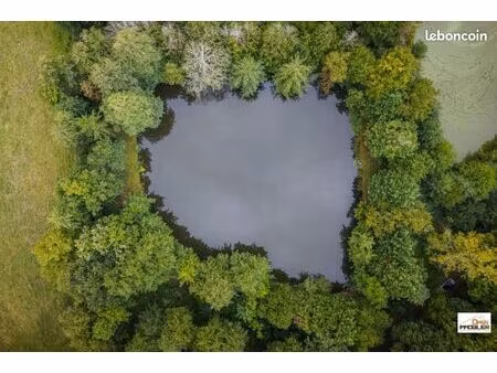 terrain 4 215 m² fougerolles