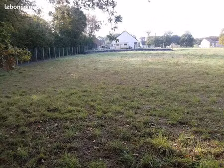 terrain constructible