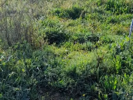 vente terrain espagne