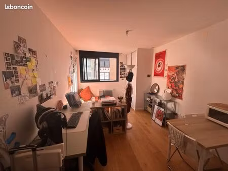 studio idéal investisseur ou étudiant- toulouse centre (quartier des amidonniers)