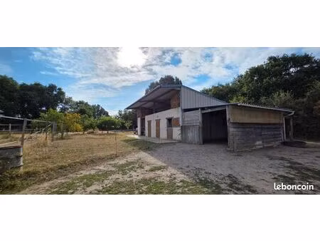 terrain 58869 m² le blanc