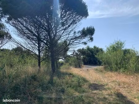 terrain 1000 m² proche mer – vias-plage – accès caravane – plage à 100 m