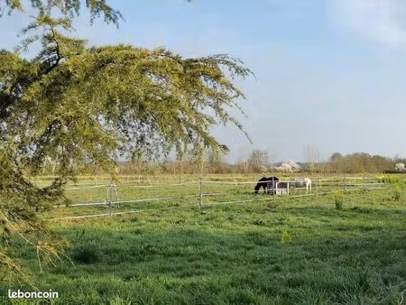 immobilier terre agricole