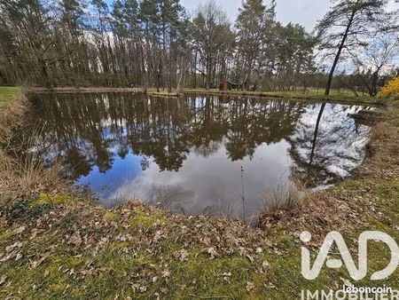 terrain 5400 m² bouzy-la-forêt