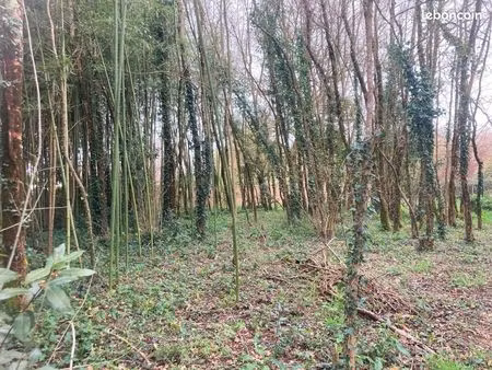 terrain 1 085 m² saint yzan de soudiac