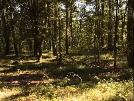 entre agen et villeneuve terrain constructible. superficie totale 2600m2