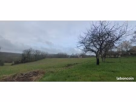 terrain 25000 m² condezaygues
