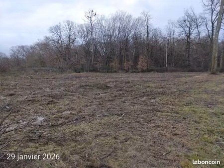 tresses 4 minutes rocade