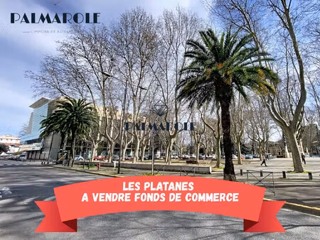 perpignan palis des congres exlusivite – fonds de commerce t