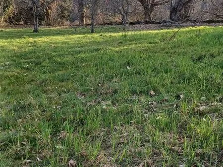 terrain constructible