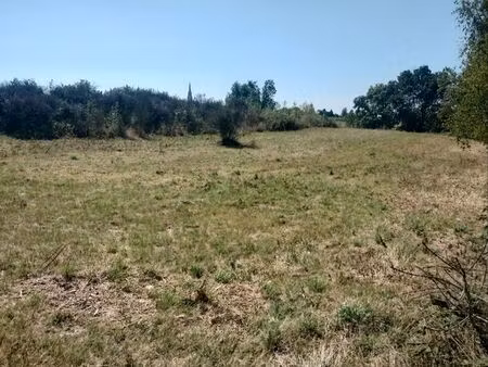 vend terrain viticole ( non constructible )