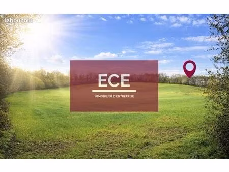 local 1200 m² concarneau