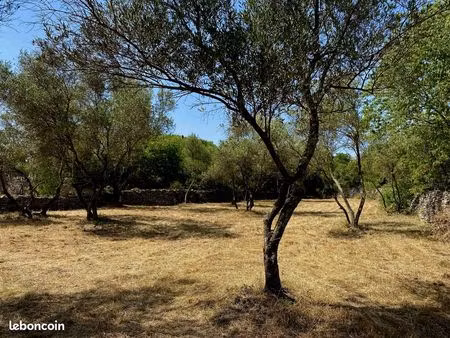 terrain 665 m² non viabilisé dans le bourg