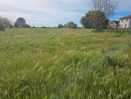 terrain constructible