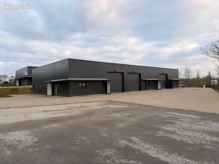 local professionnel 400 m2 saint segal