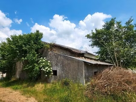 a saisir grange en pierre de taille - 80 m² au sol – potentiel + de 160 m² – petit jardin 