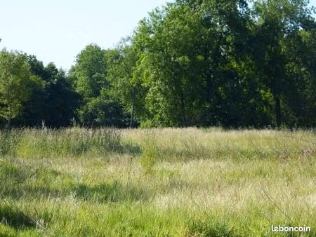 terrain de 1100 m2 sur parentis en born